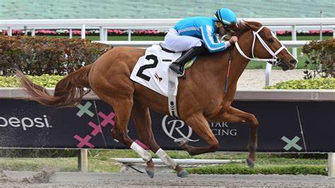 Mage Wins Kentucky Derby