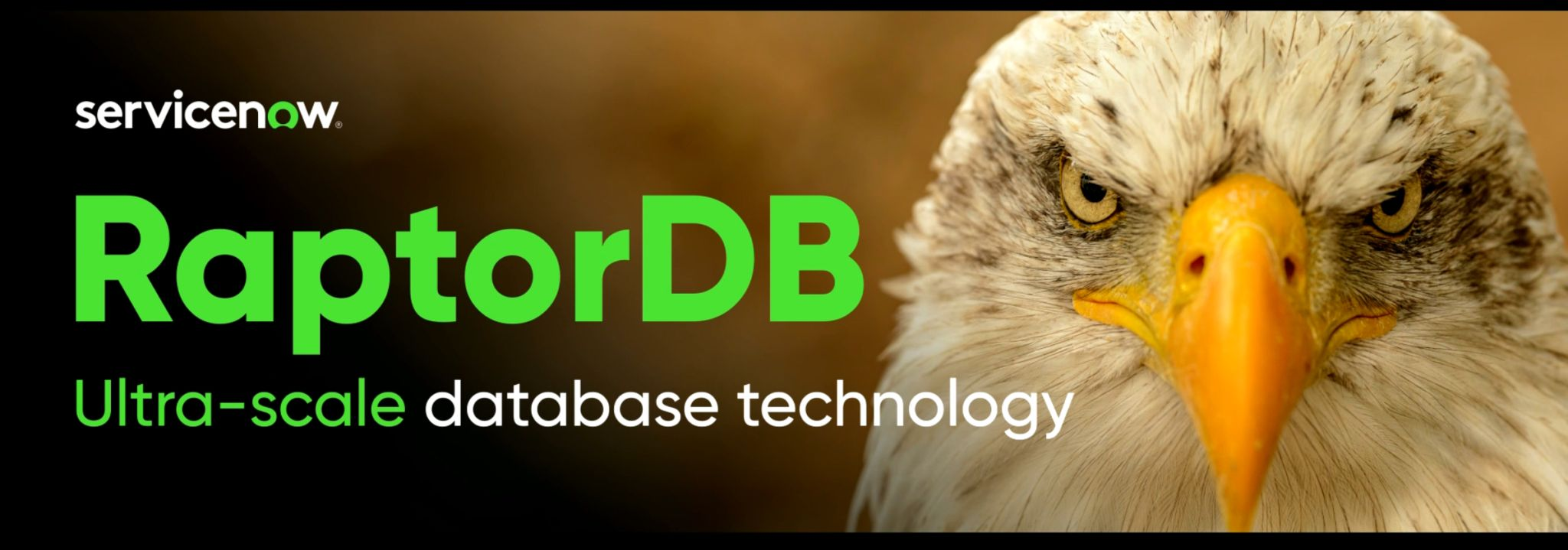 RaptorDB Zero Copy Intelligence ServiceNow Workflow Data Platform Raptor Workflow Data Platform- ServiceNow's RaptorDB is ultrascale database technology
