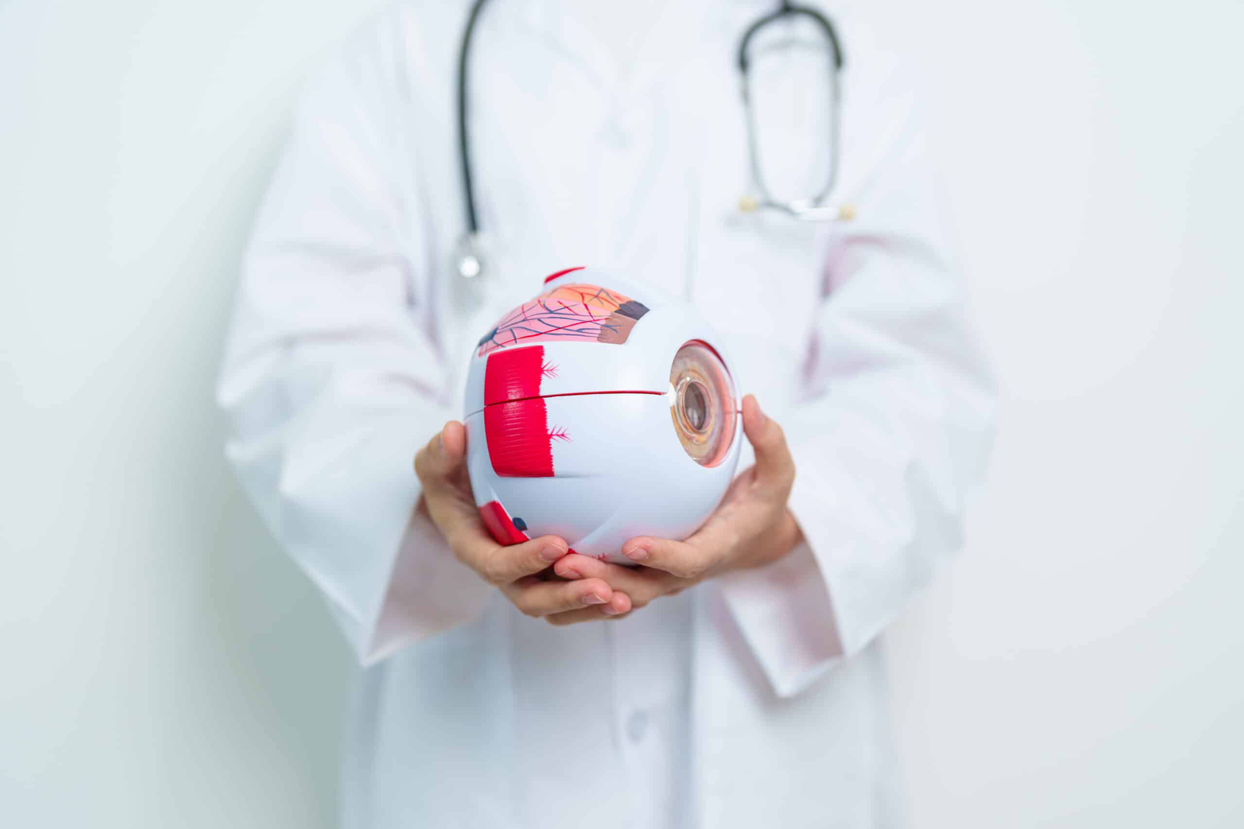 Reverse Diabetic Retinopathy Now A doctor peers through a magnifying glass at a human eye anatomy model, carefully explaining how diabetic retinopathy develops. From the clinician’s perspective, the condition is not isolated—it is part of a spectrum of eye diseases that threaten sight, including refractive errors, age-related macular degeneration (AMD), cataracts, glaucoma, amblyopia, strabismus, and, importantly, diabetic retinopathy (DR). Each disorder damages vision differently, yet DR is uniquely tied to blood sugar, blood pressure, and cholesterol control.